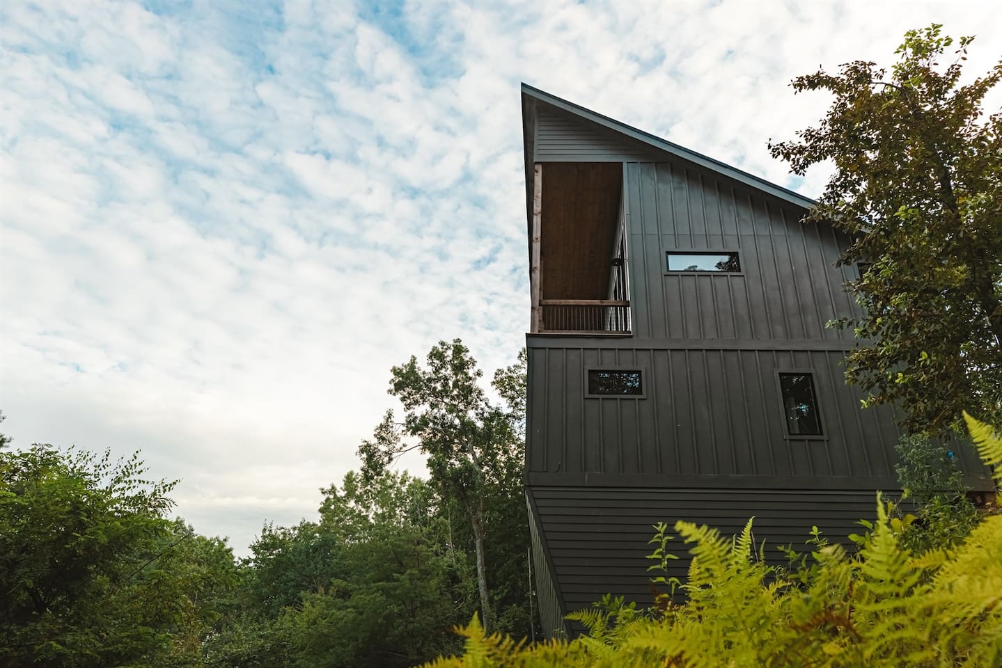 View up from the national forest boundary