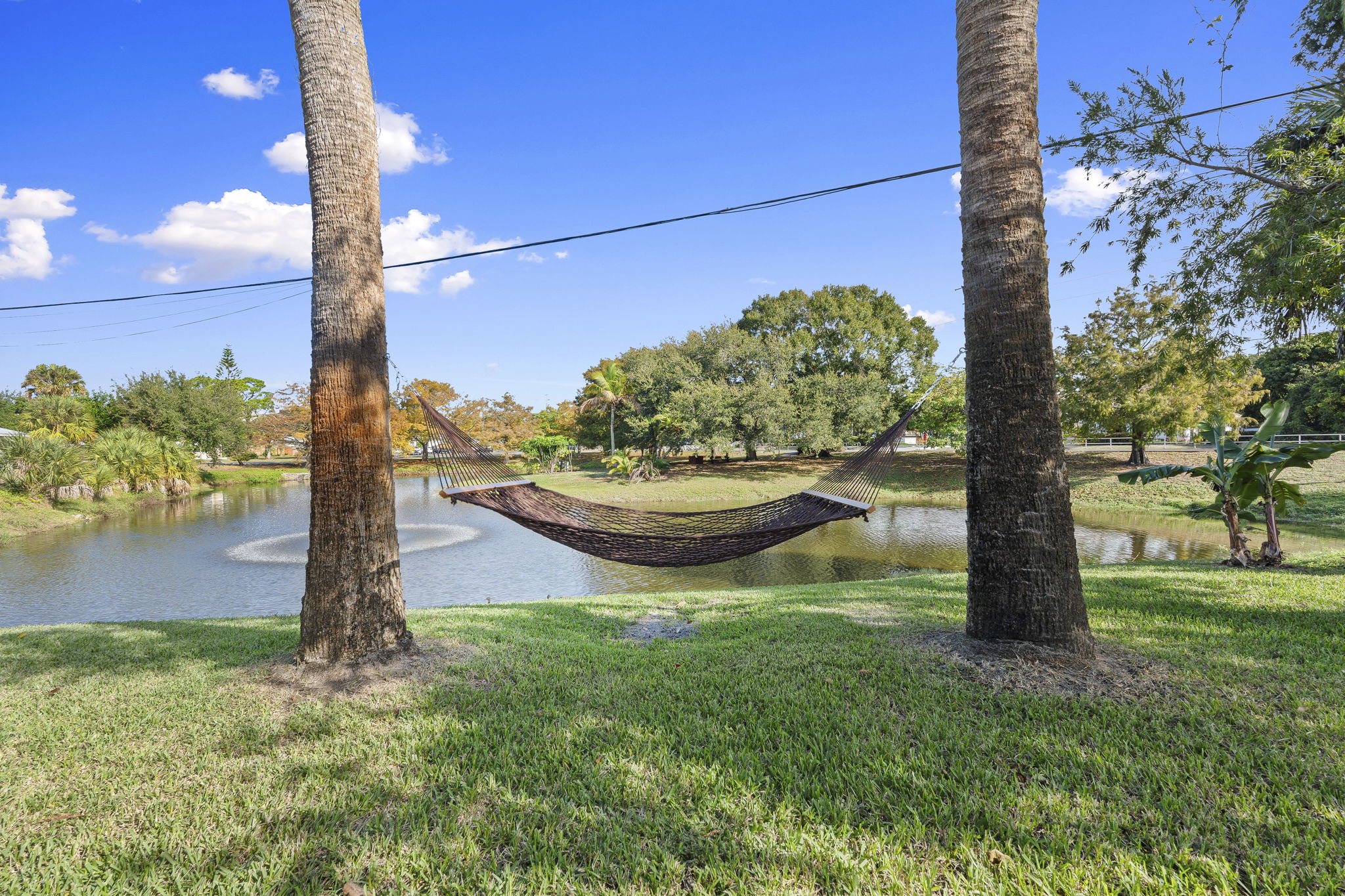 Hammock