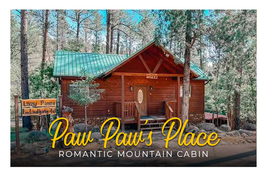 Nature's embrace: Pine-framed front view of cozy cabin retreat.
