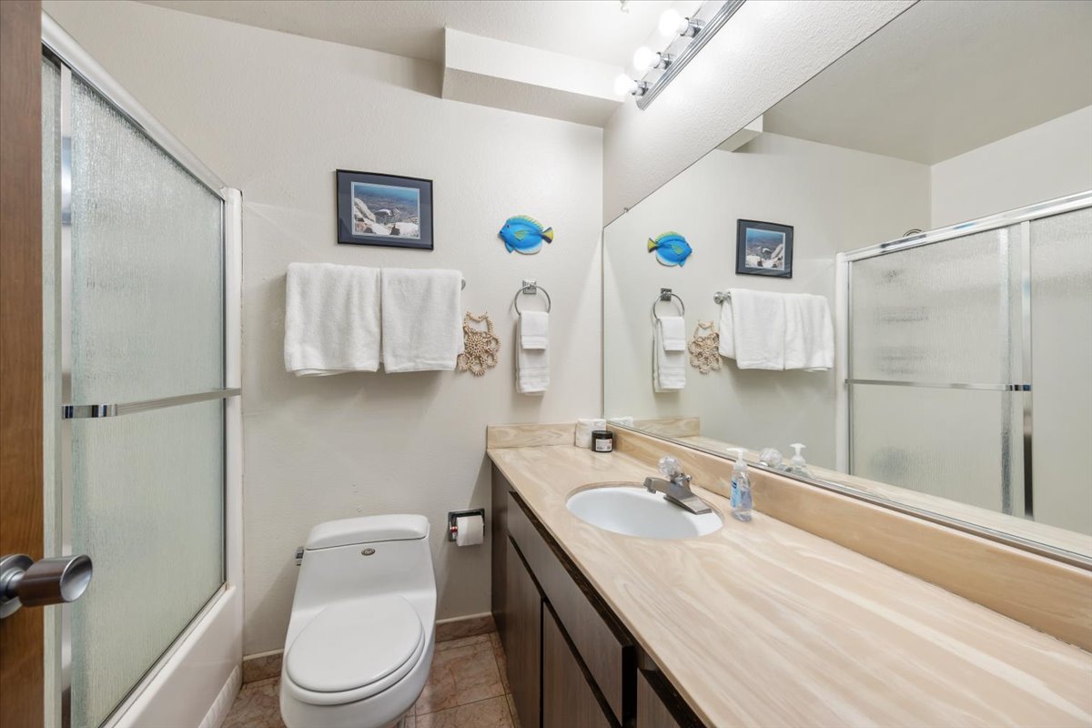Downstairs Hall Bathroom