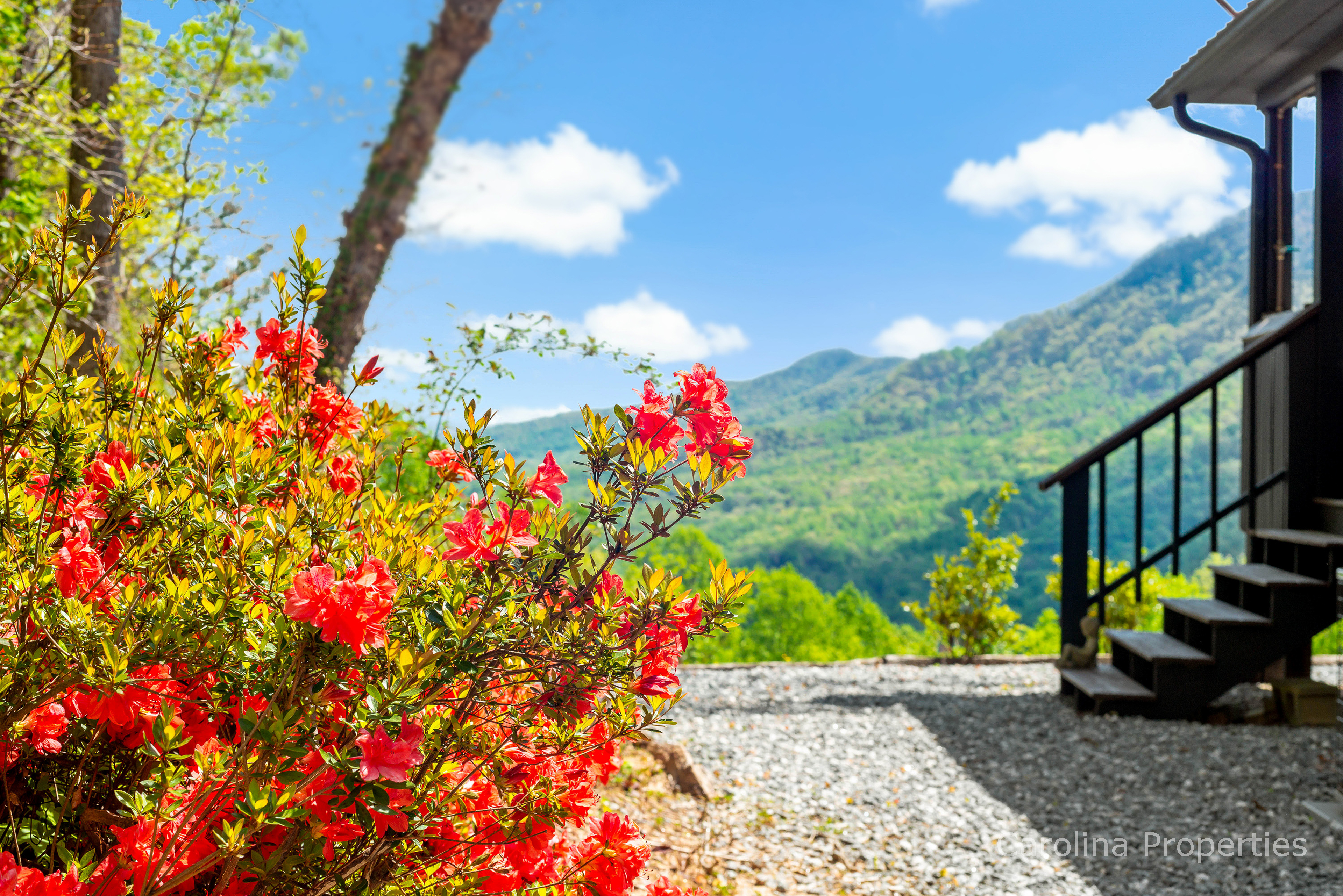 Writer's Block — Saluda, NC — vacation rental