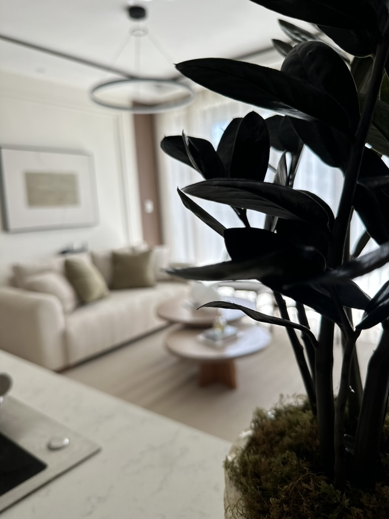 Thoughtful details and warm touches make Casita Camelia feel like home. 🌿🤍