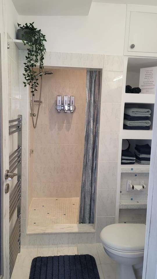 Newly remodeled bathroom shower