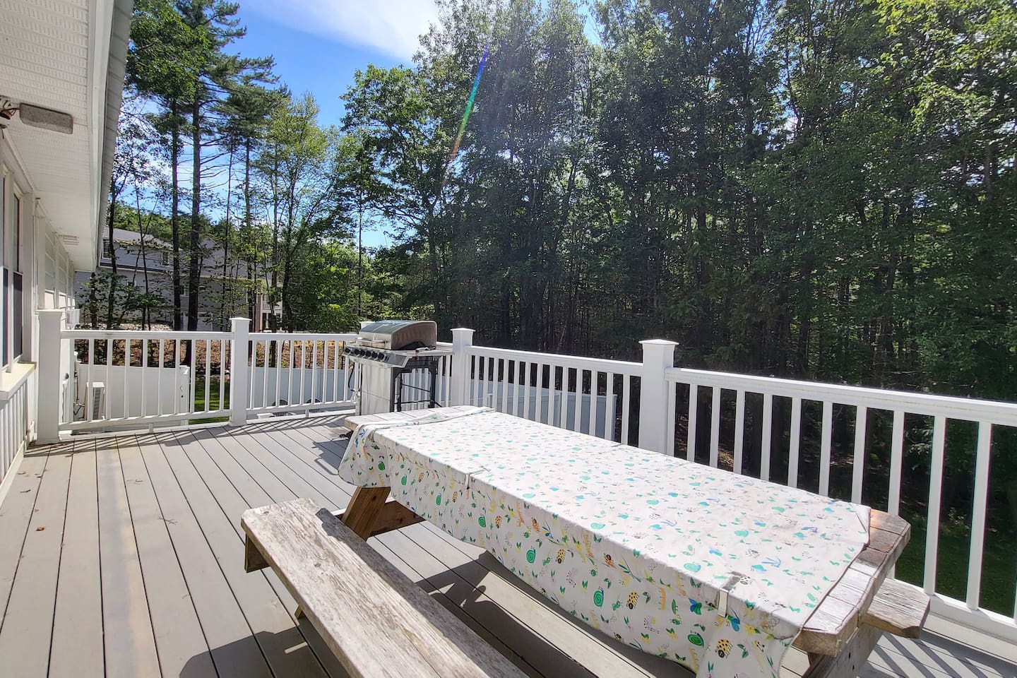 Back deck