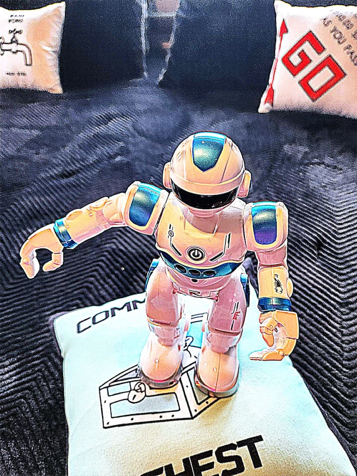 The Innkeepers snuck a picture of Howie SHOG jumping on the bed. SHHH! Don't tell the boss! 