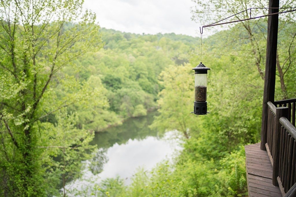 View of Oconaluftee River below