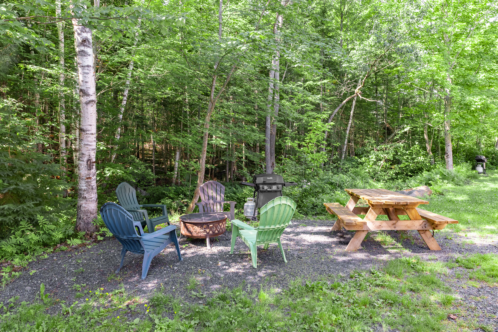 Fire pit,  grill, and plenty pf space to sit and relax by the brook in the back.