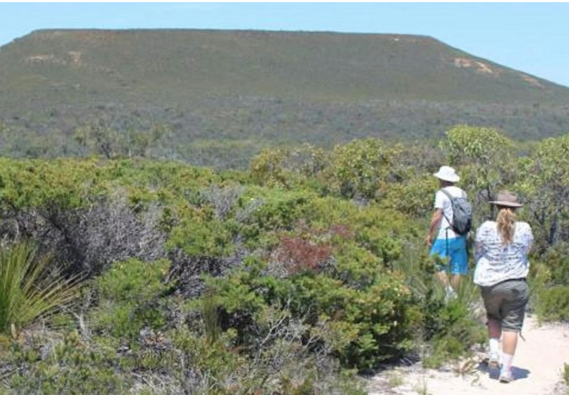 Peaceful bush trails - great for a day trip