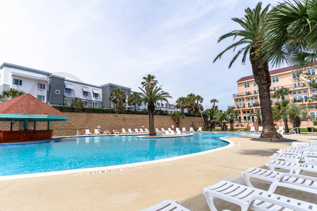 330,000 gallons of water with palm tree growing out of the center