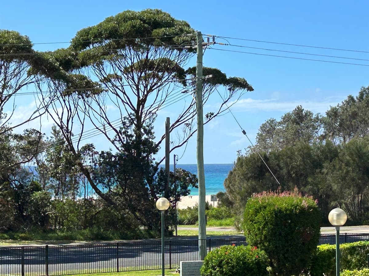 View from Fathoms 10 balcony with part of the garden in the foreground, and the sand and ocean visible through trees in the reserve across the road.