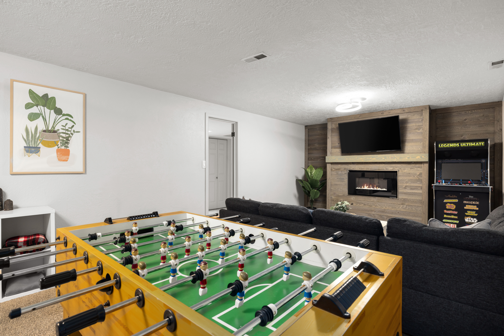 Basement Living Area
