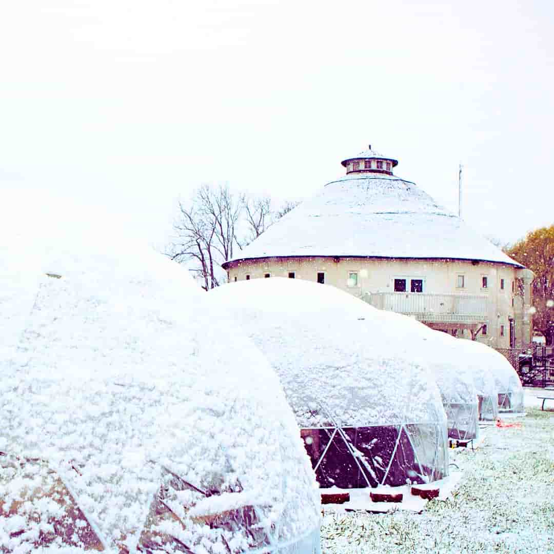 Unique Local Fun Activities