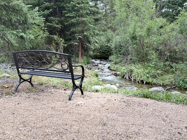 A quiet creekside bench offers the perfect place to slow down, listen to the water, and enjoy the surrounding forest.