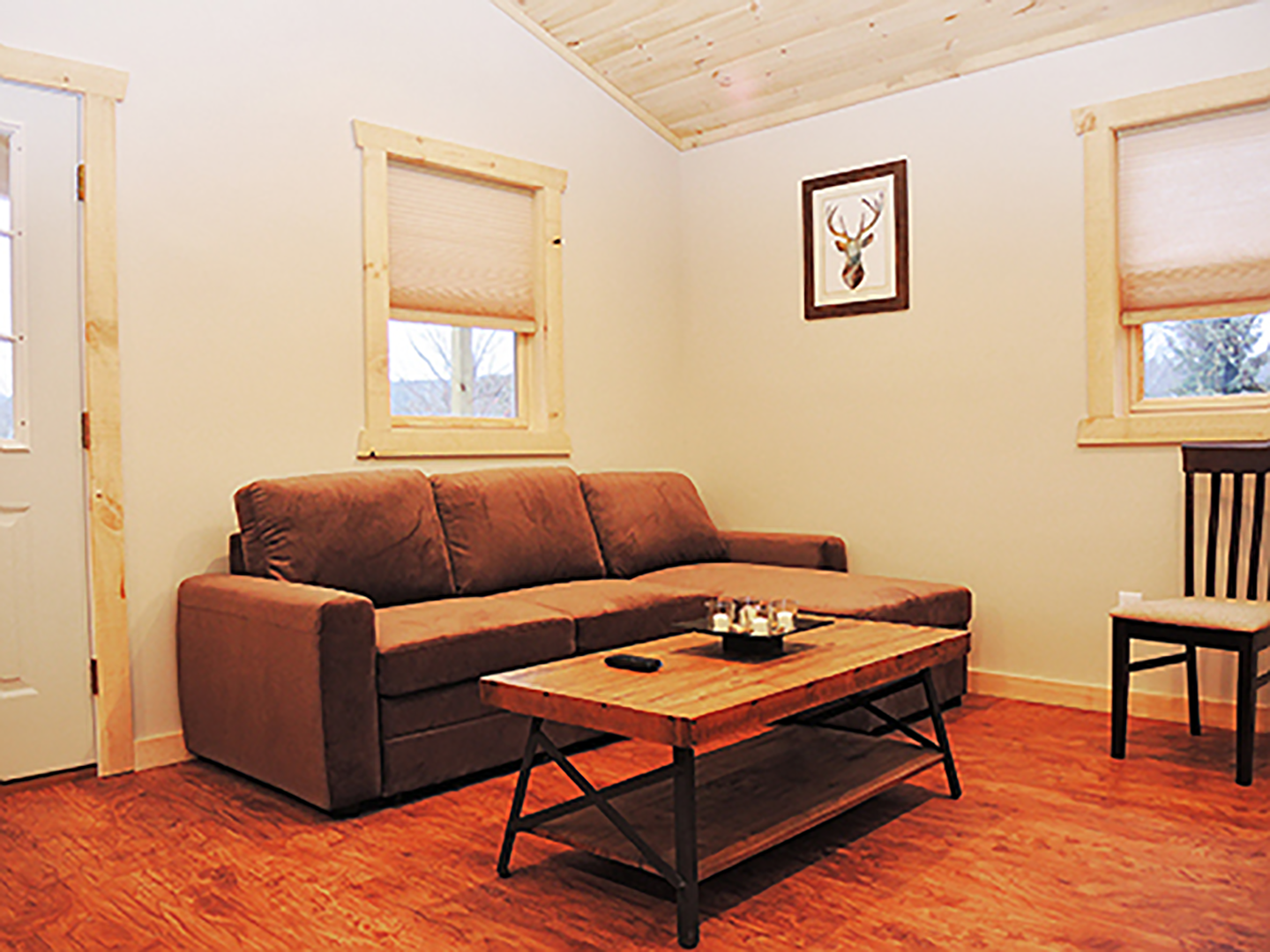 Living room area with Sleeper Sofa