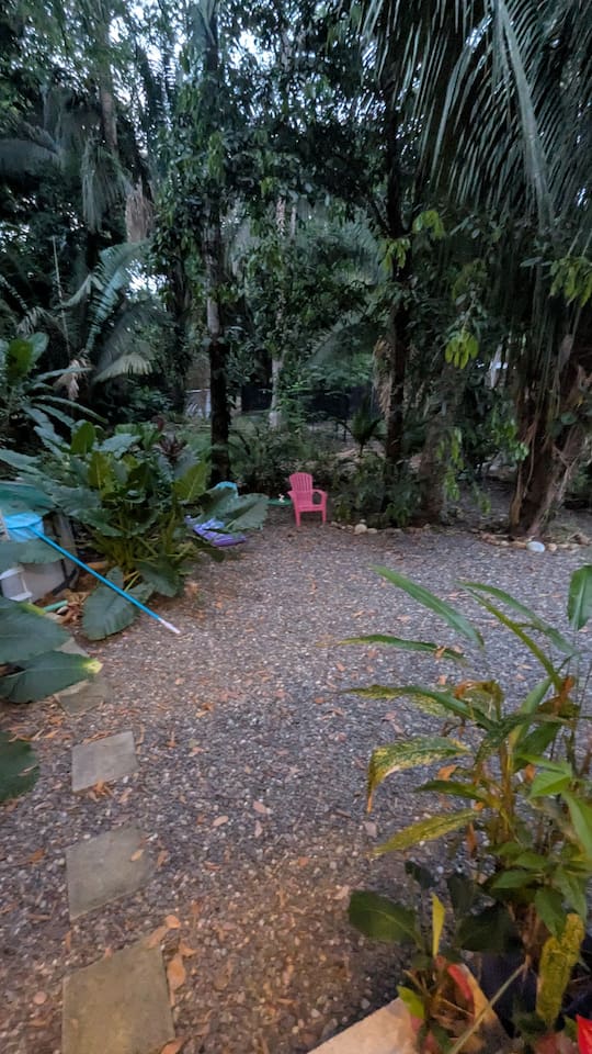 Another backyard view.
