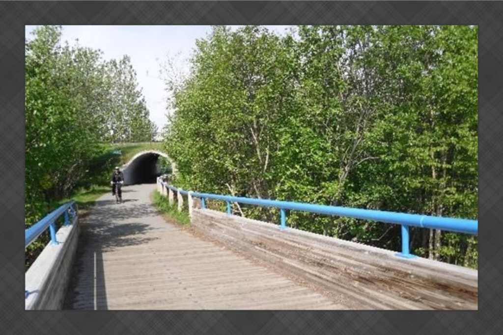 Tony Knowles Coastal Trail
