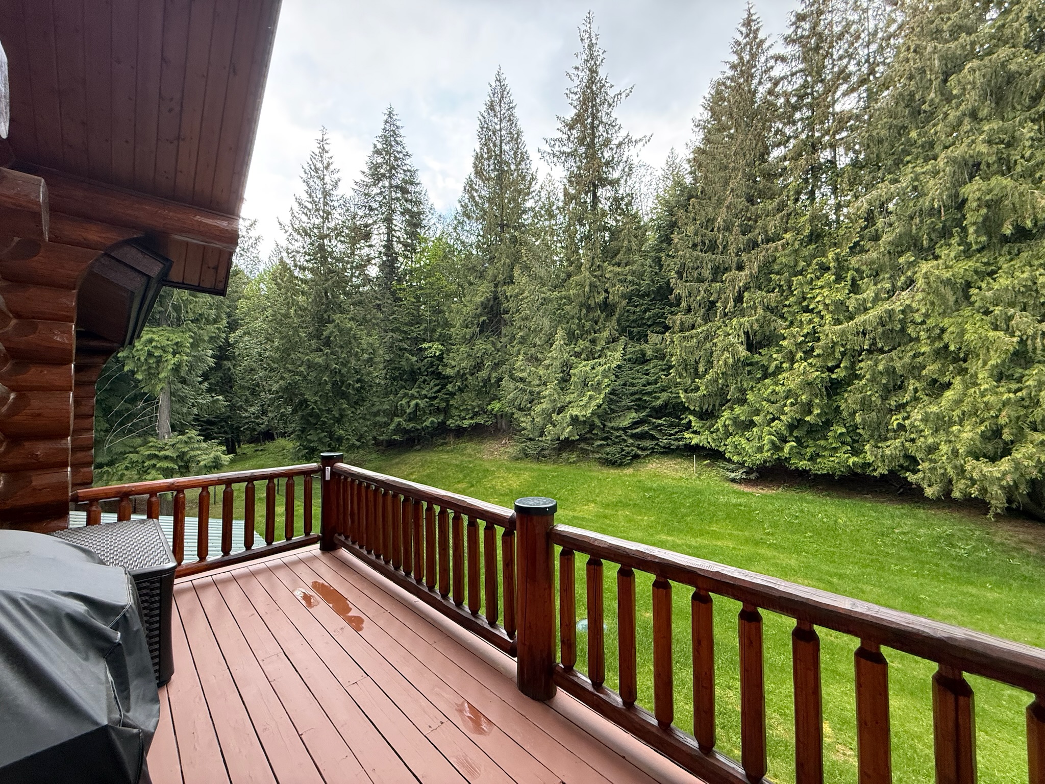 Back deck with grill