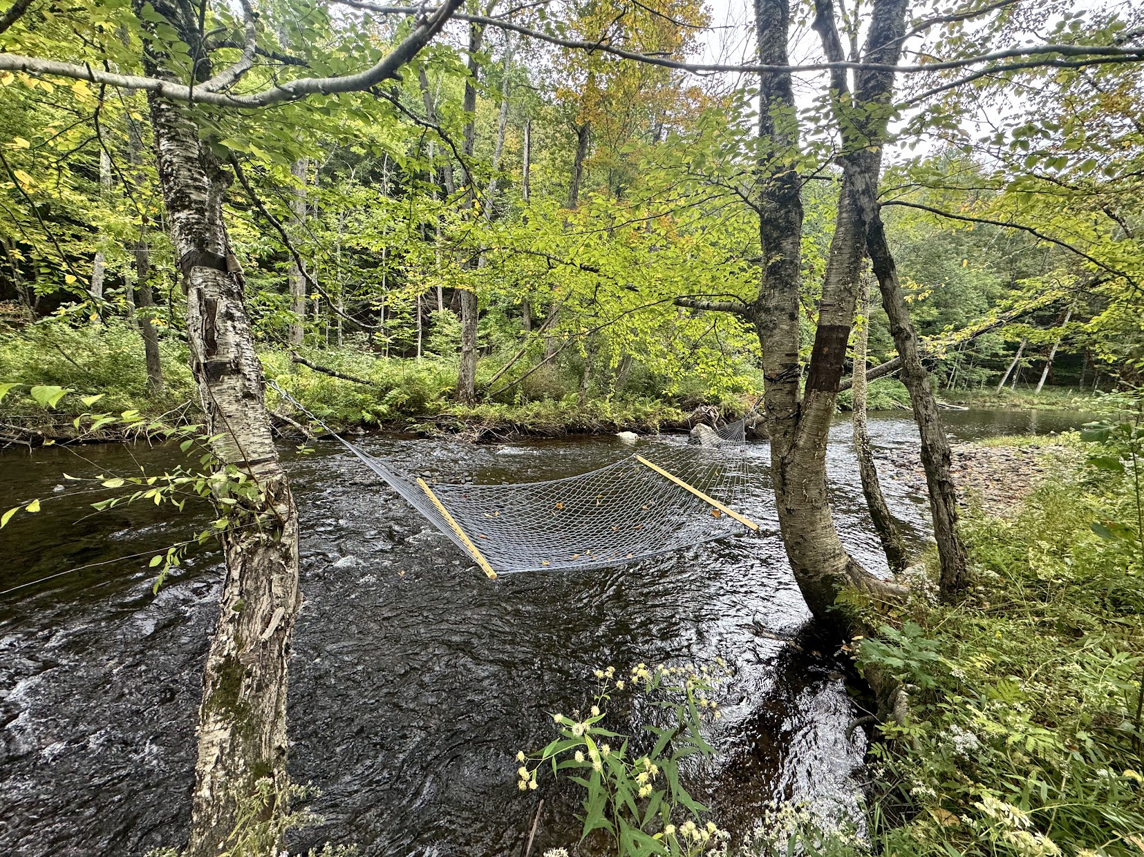 Or relax in our hammock suspended above the river. 