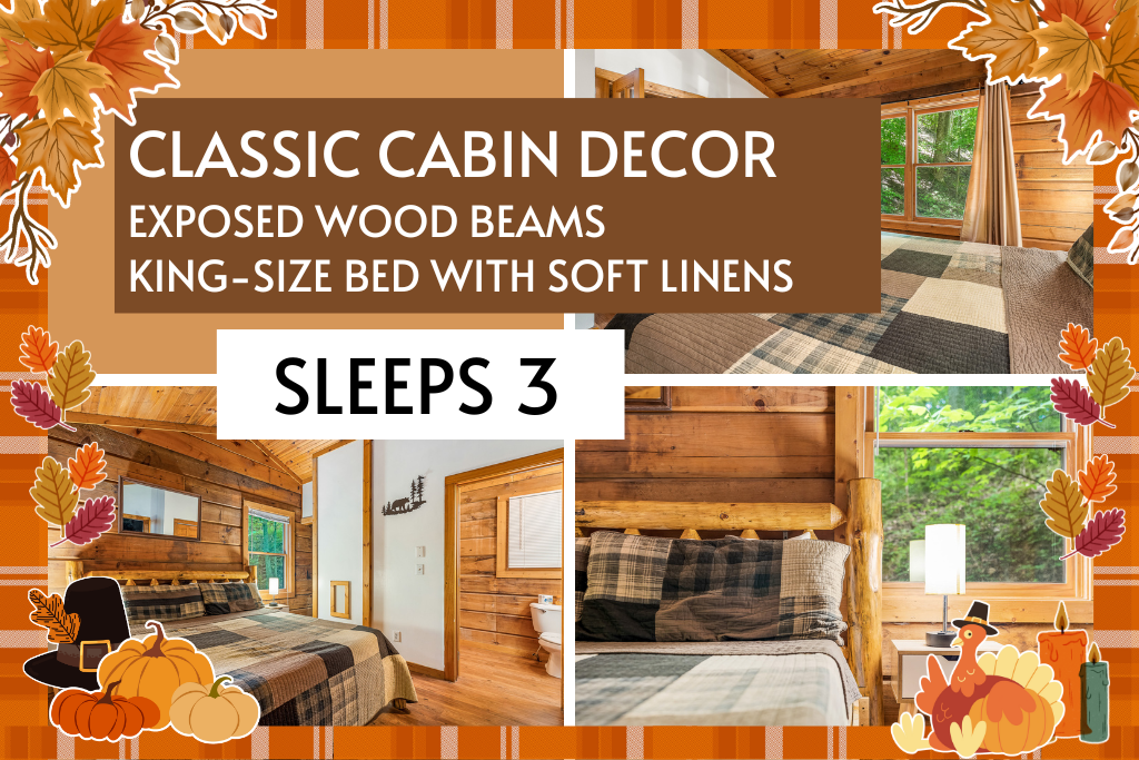 Classic cabin design meets modern comfort—sleeps 3 with ease