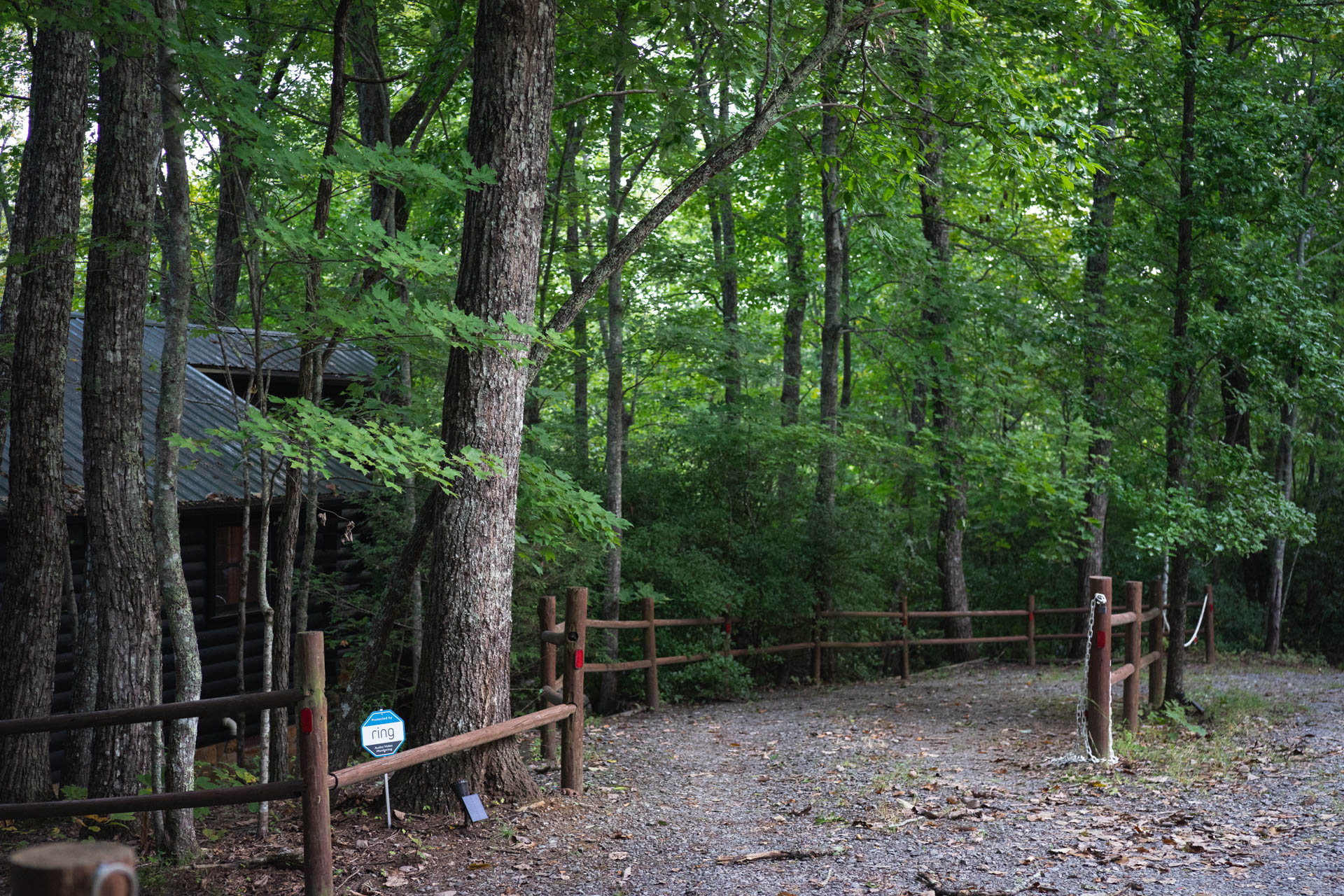 Parking spot #2 & #3 - Driveway fits up to 3 cars