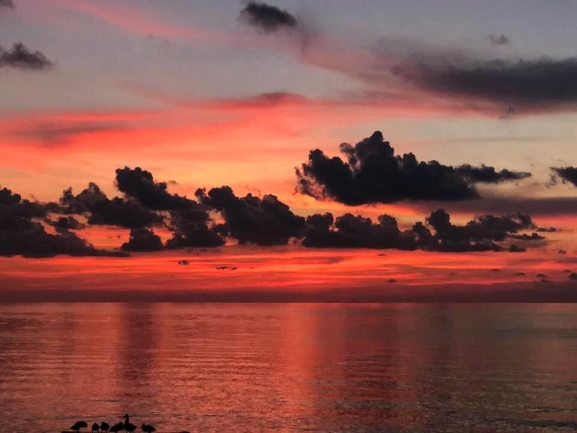 Beautiful Sunsets!
