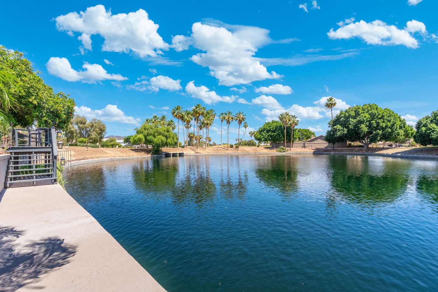 A peaceful lake stretches out before you, framed by palms and lush green trees — the kind of view that makes you want to slow down and simply be present.