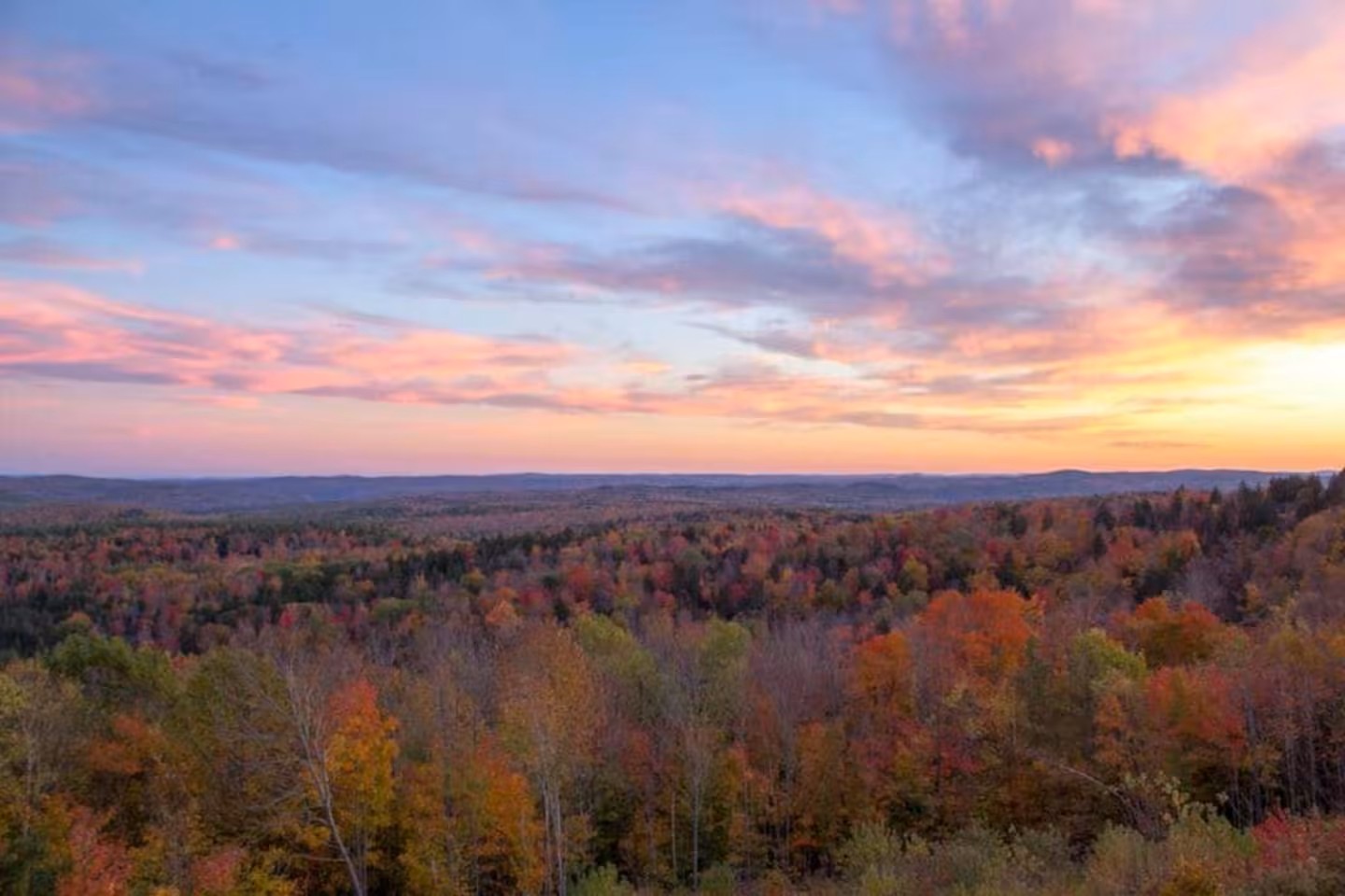 10 minutes away you'll find Hogback Mountain and Molly Stark State Park: some of the best hiking in Southern Vermont