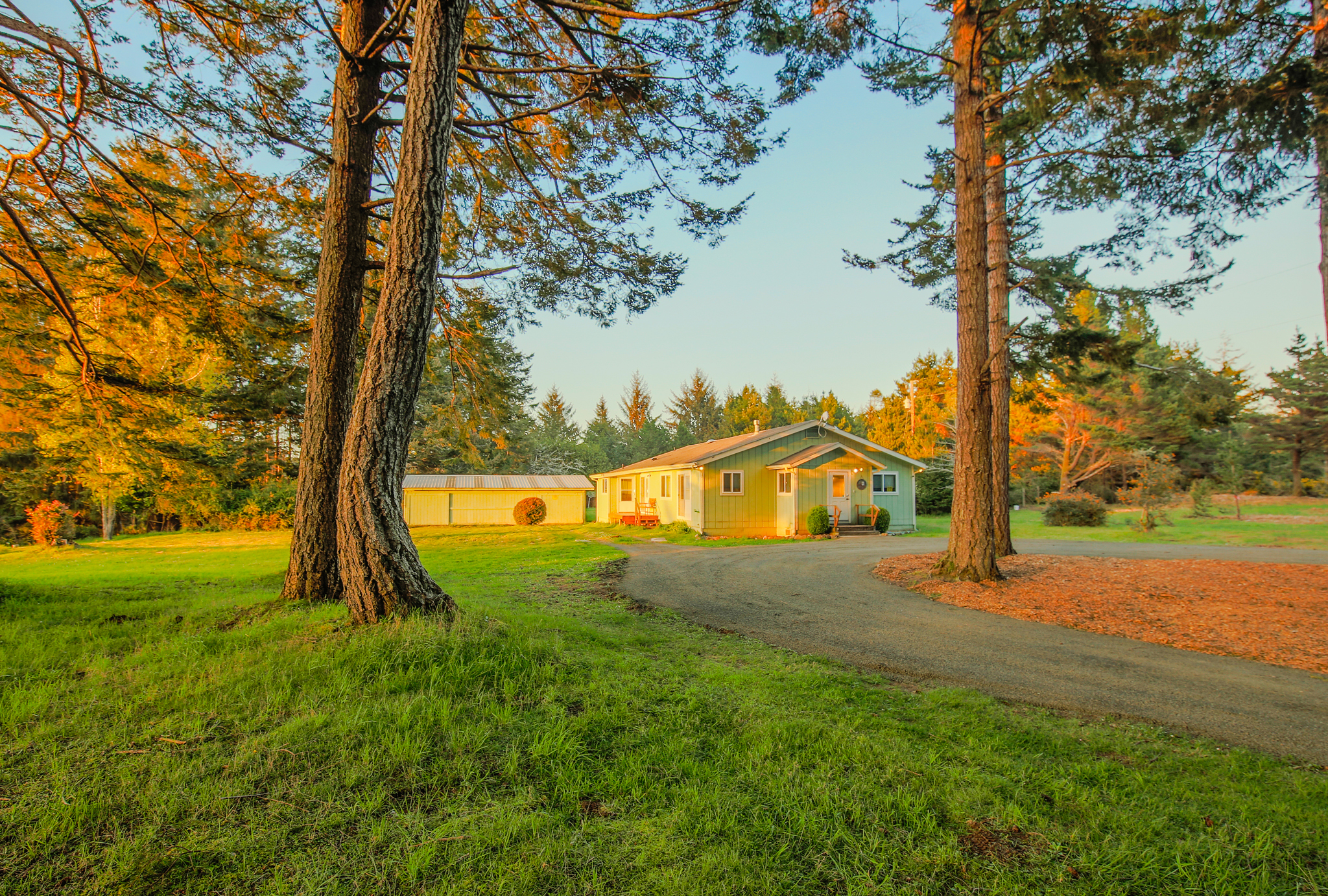 Front Yard
