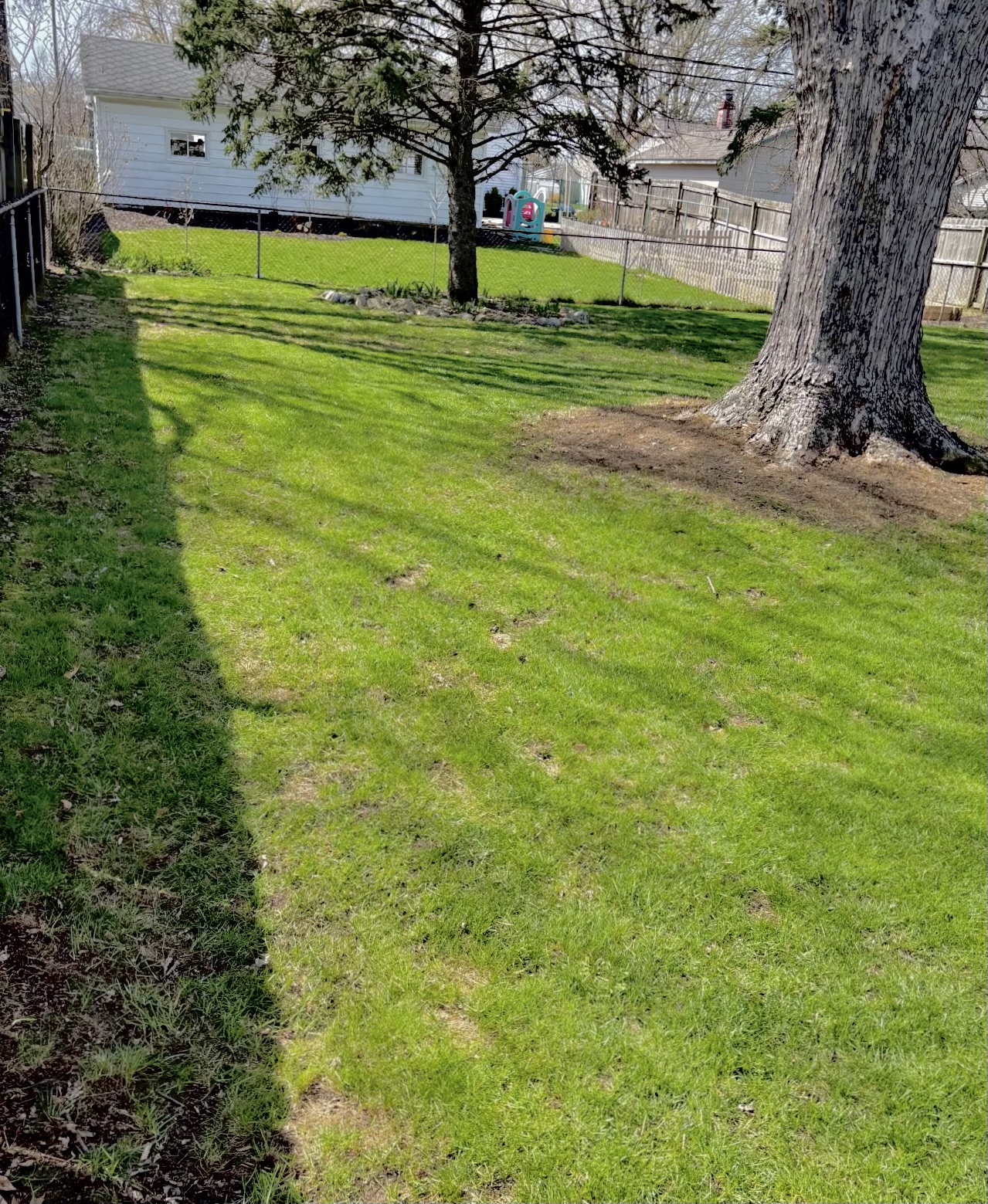 This shaded yard is perfect for kids and pets. Enjoy some time around the firepit or try your hand at the new grill station. Pre Release special discount.  