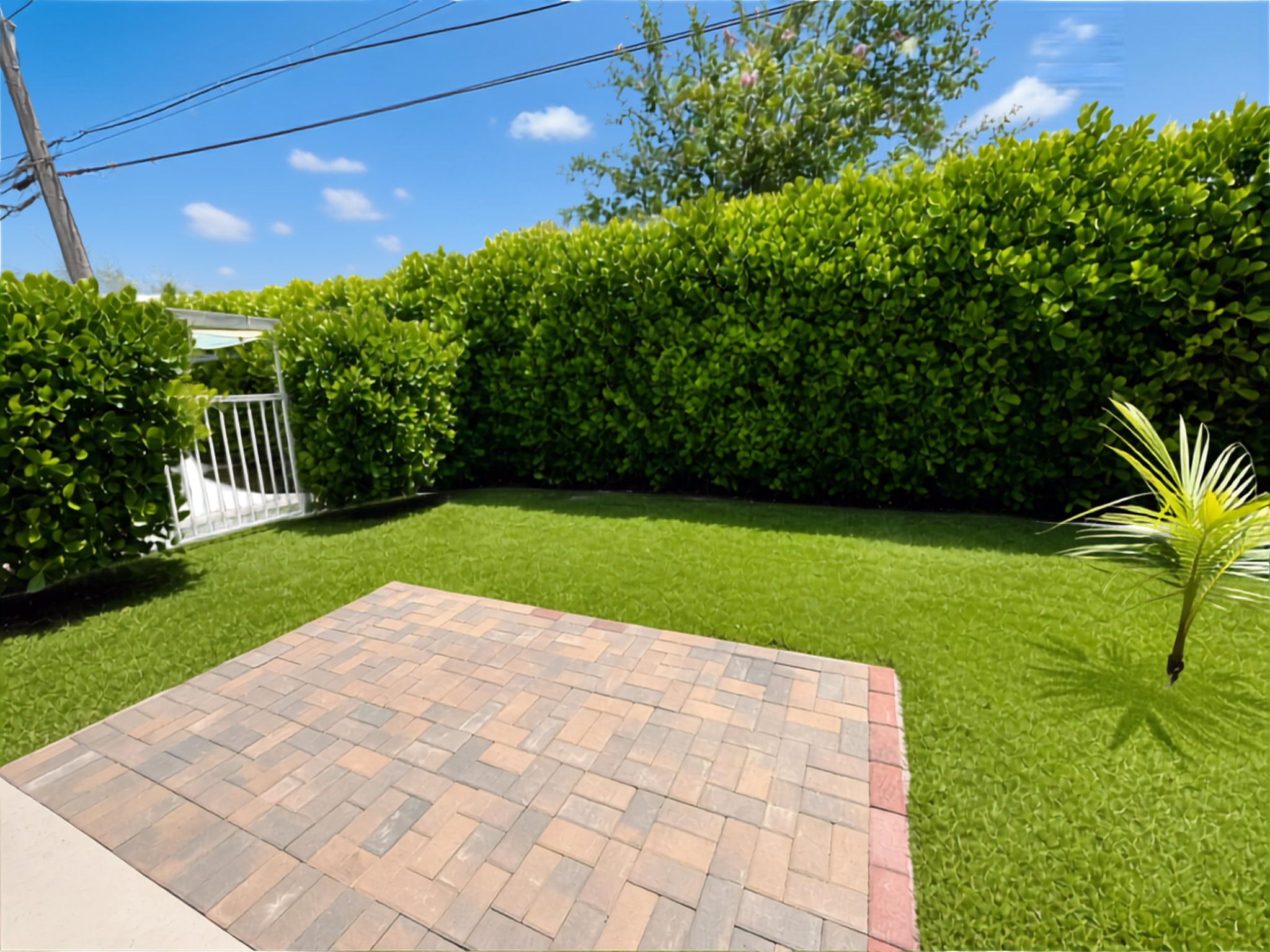 Backyard
