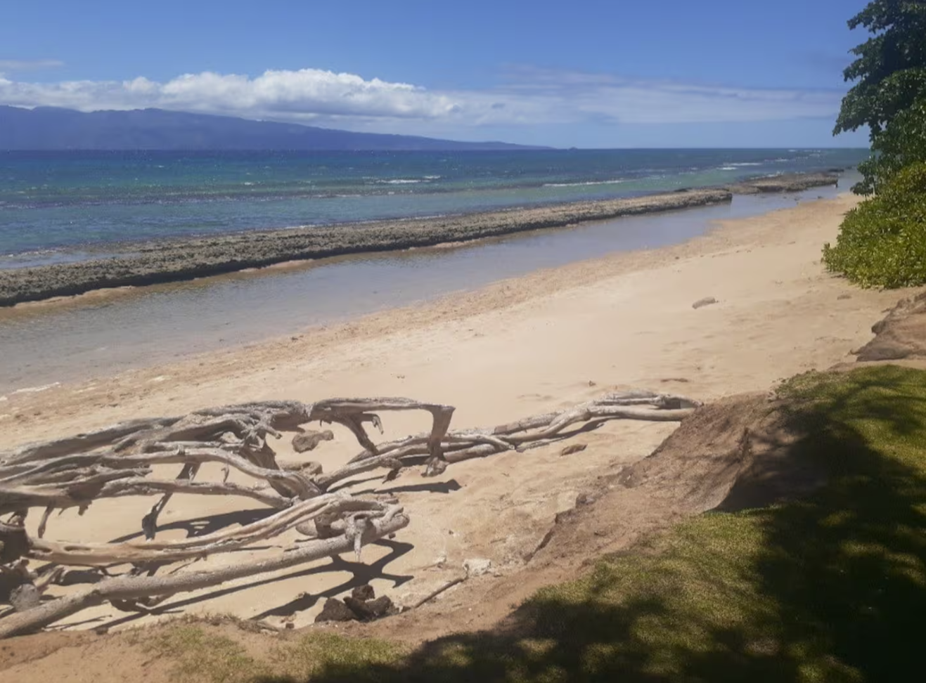 Neighborhood beach park and snorkeling 