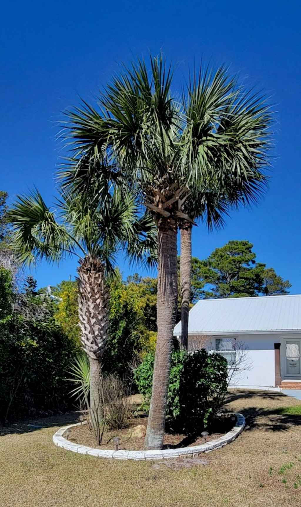 Tropical Landscaping