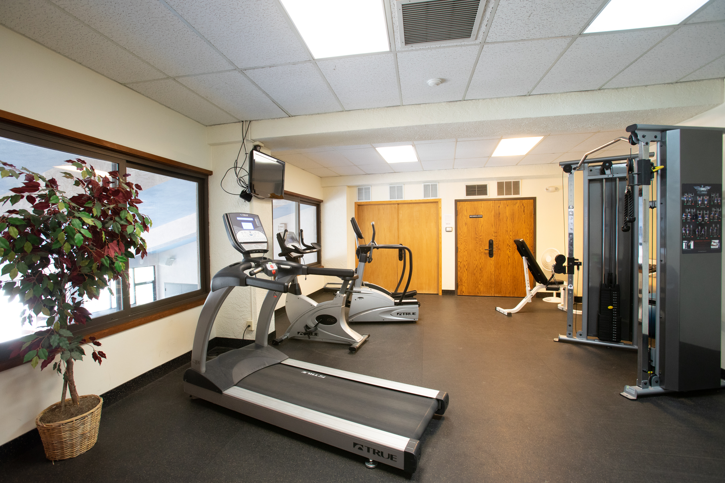 Shared Gym