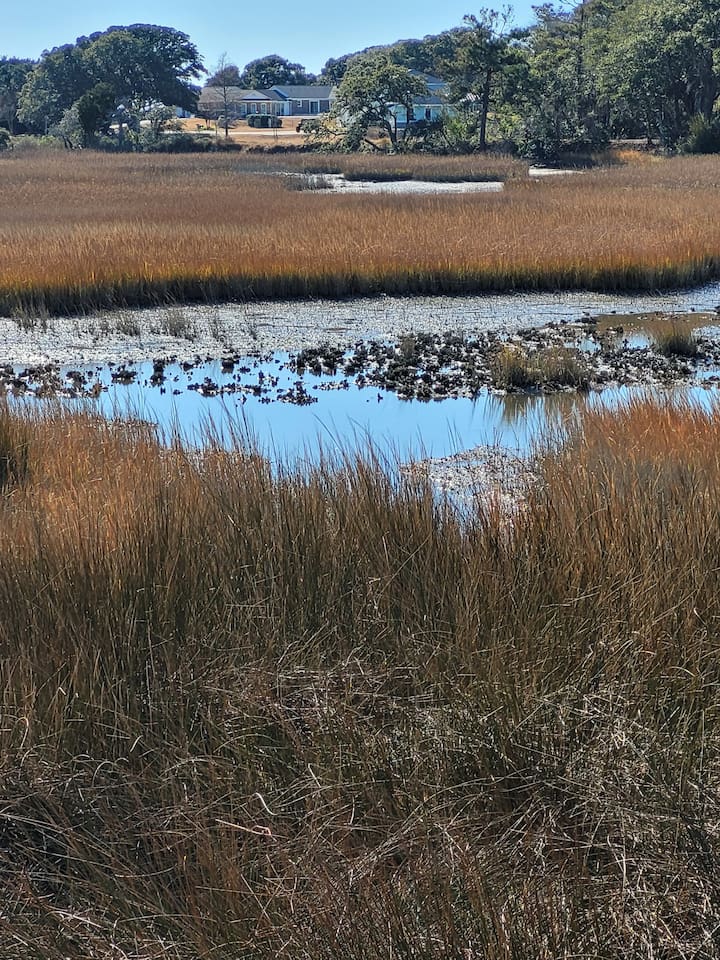 Marsh view from near by deck. 