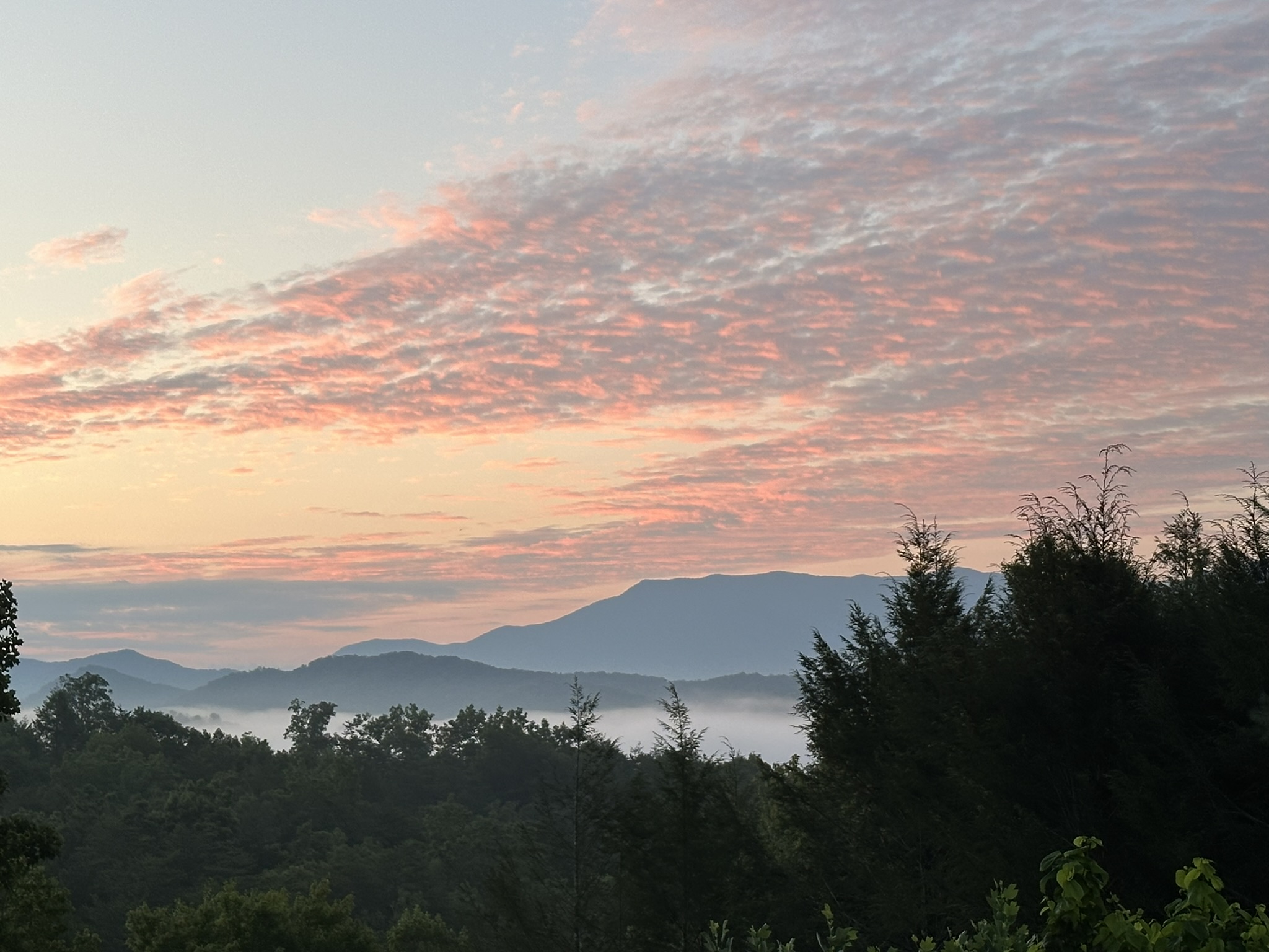 Smoky mountains on a smoky summer evening. Another gem shared by a guest.