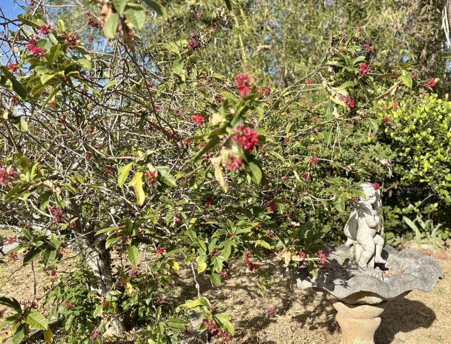Enjoy the garden views and statuettes all around the property.