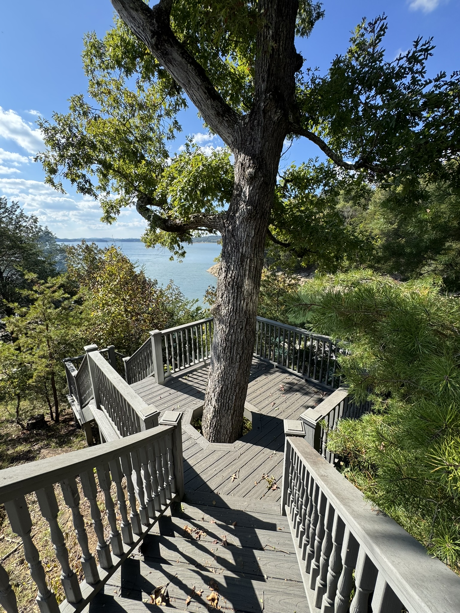 Steps leading down to dock and firepit