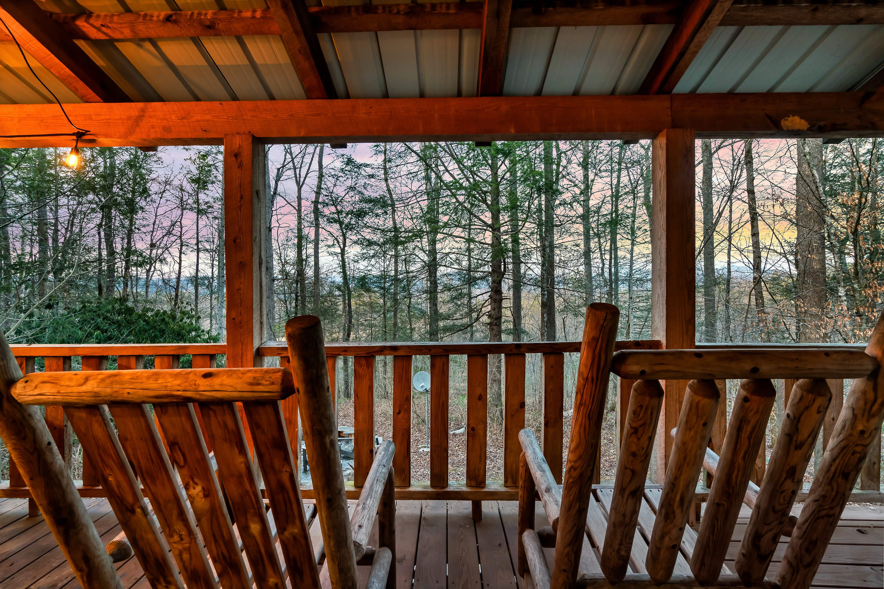 Grab a seat and watch the woods come alive