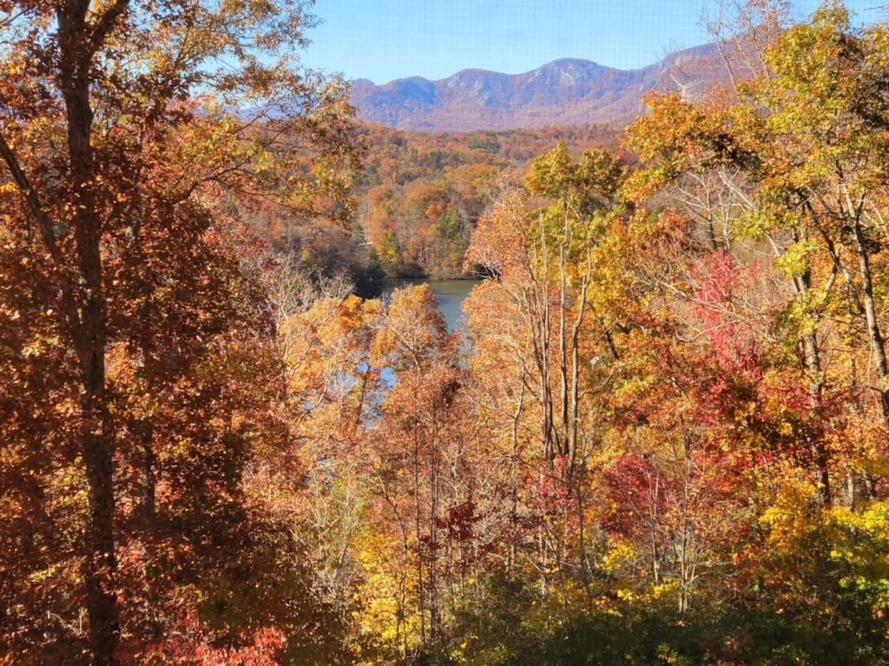 Lake view from cabin