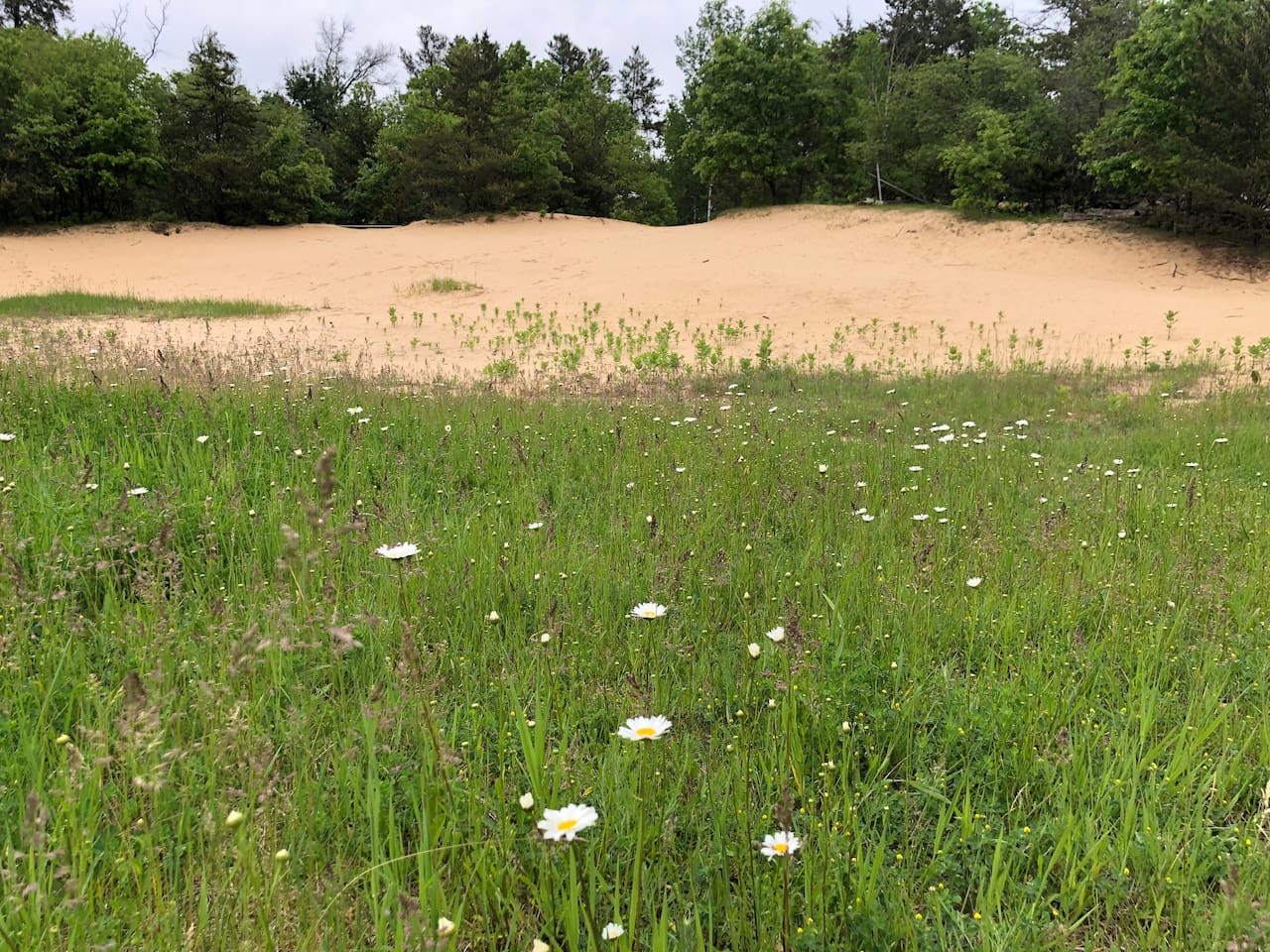 Our 3.4 acres has a large sand bowl for kids to enjoy. Machines are not permitted, but please help yourself an walk around to enjoy it.