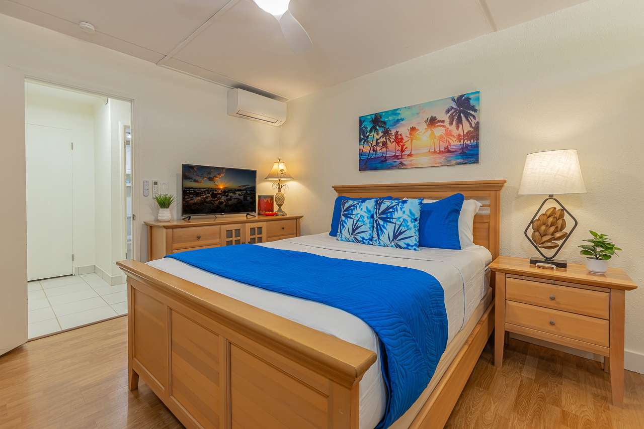 Queen Bed, AC, Ceiling Fan & Smart TV