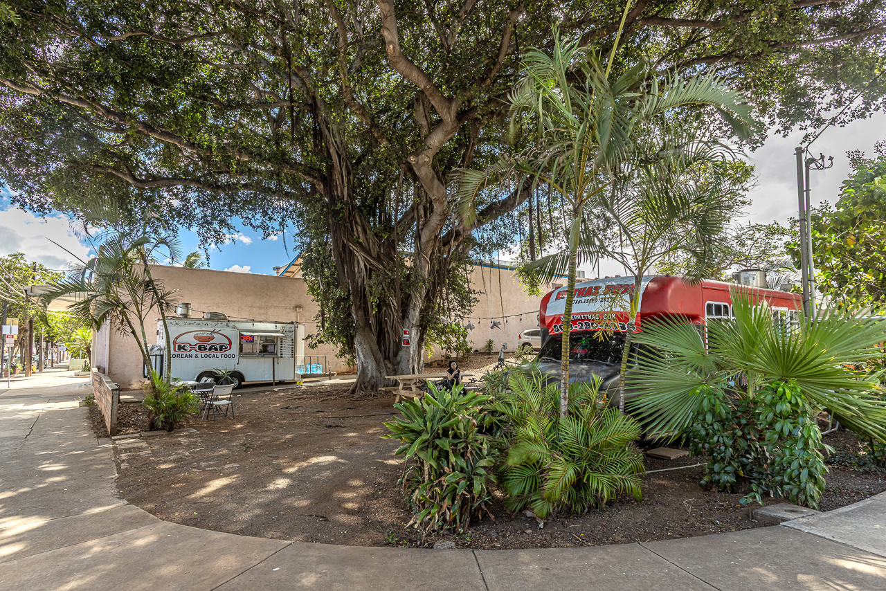 Food Trucks on Market St. 1st Friday of each month is a festival!