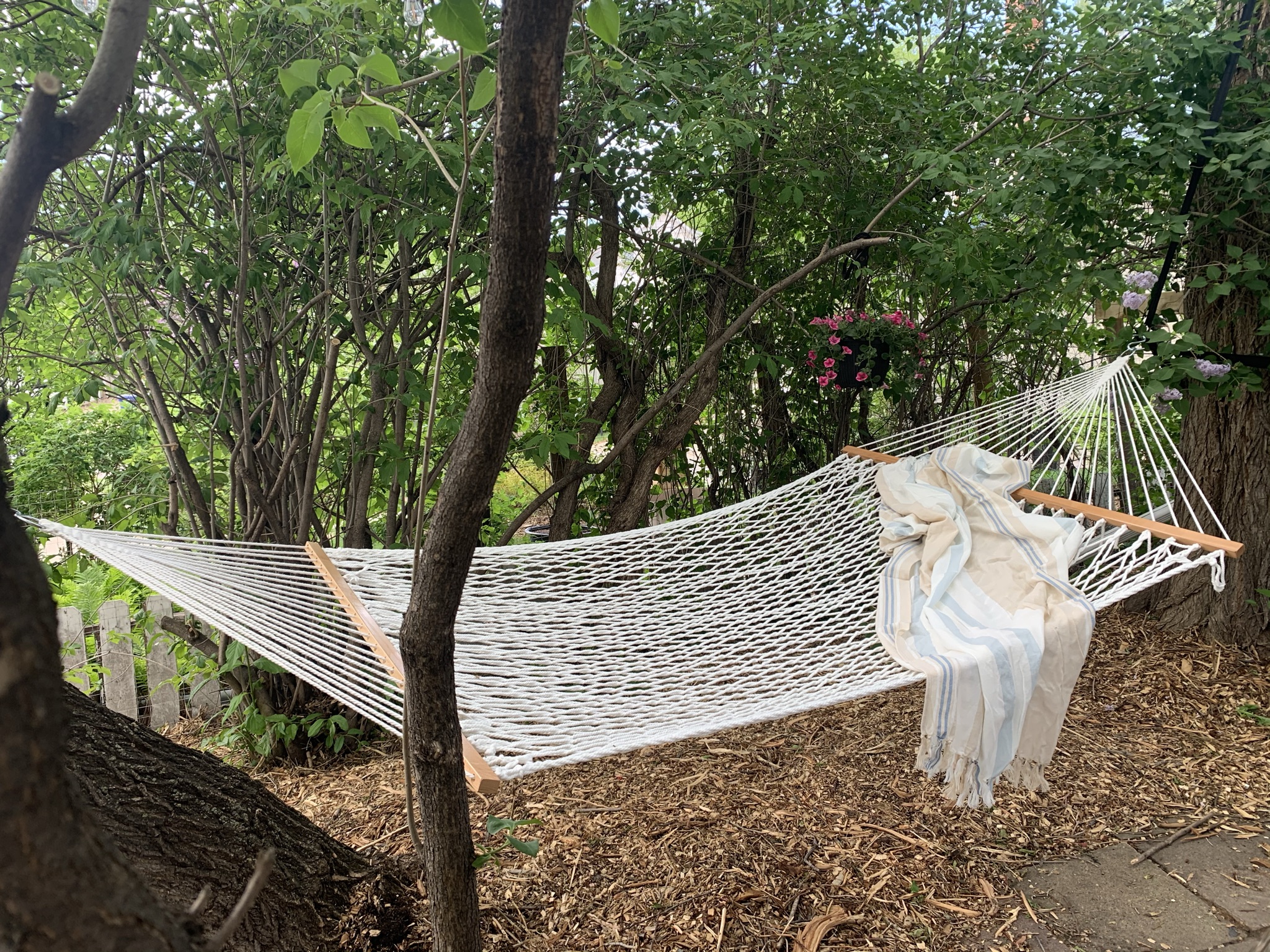 Unwind and recharge. This peaceful hammock area is ideal for an afternoon read or a quiet nap.