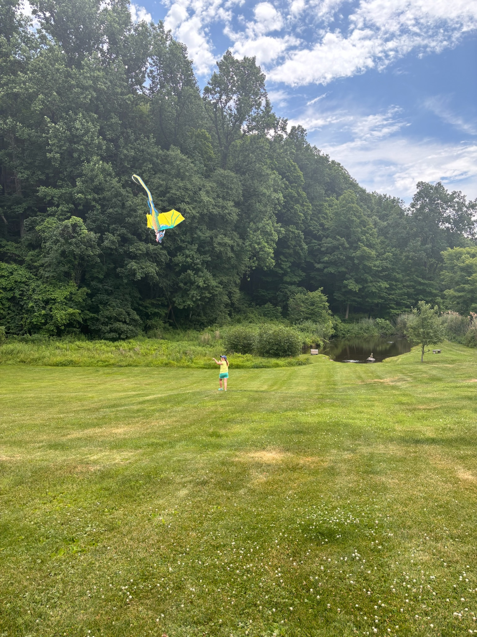 Play outdoor games. Fly a kite!