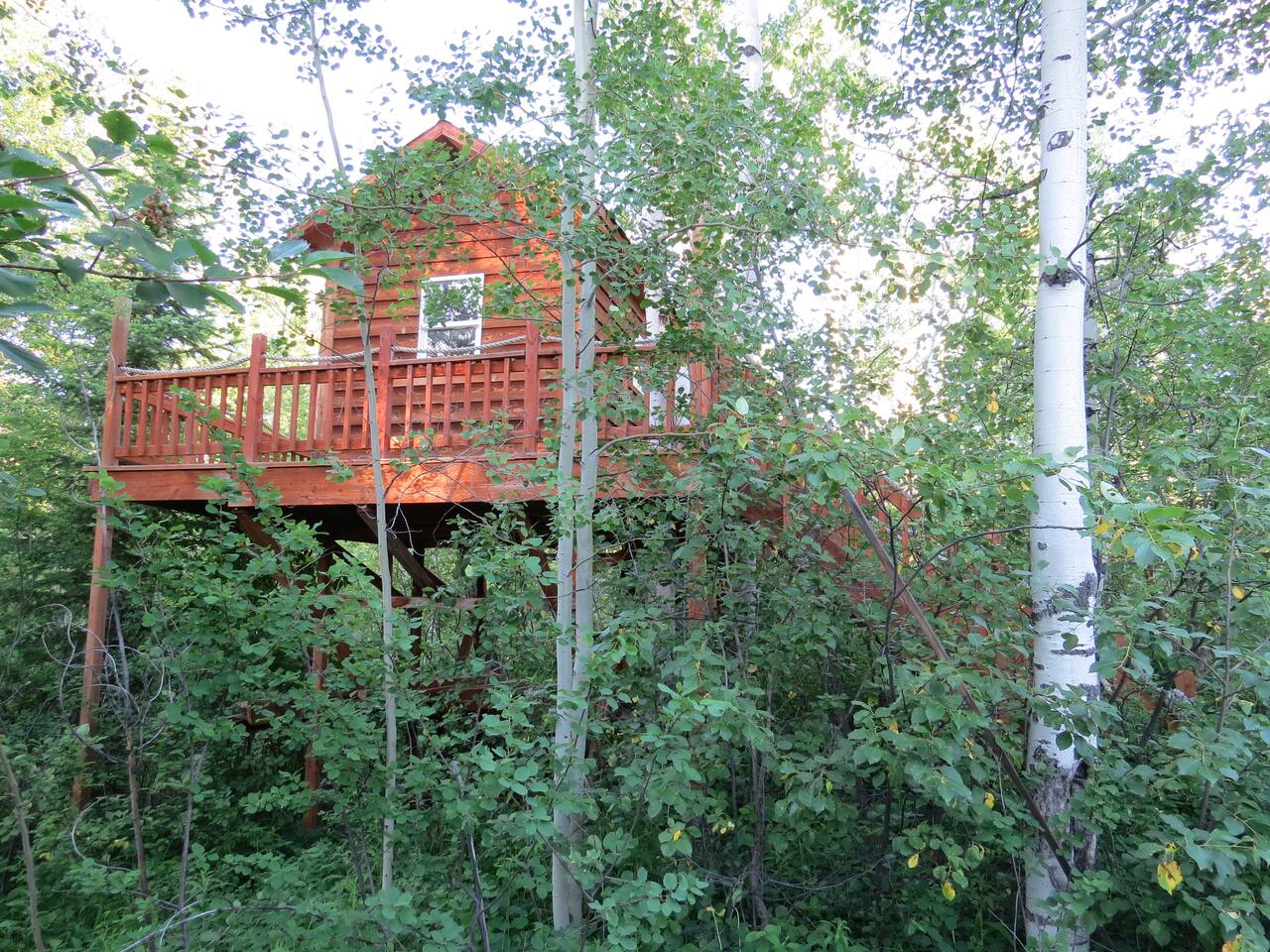 Treehouse!