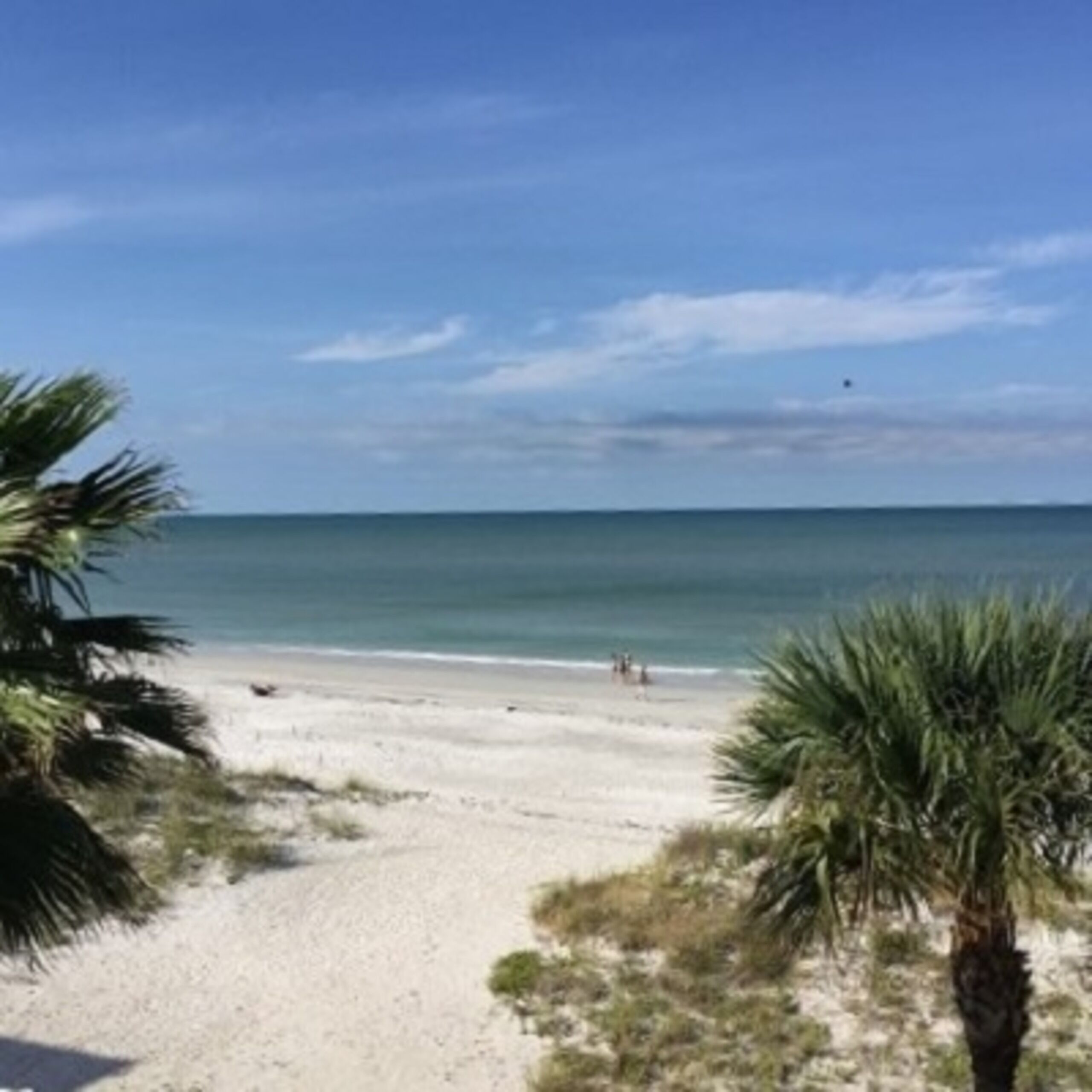 Great for bird watching