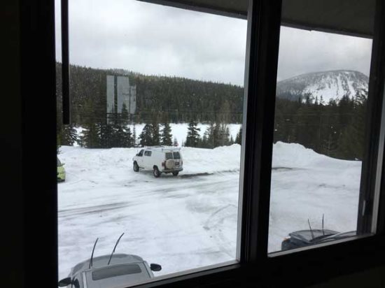 View from Bedroom window.
