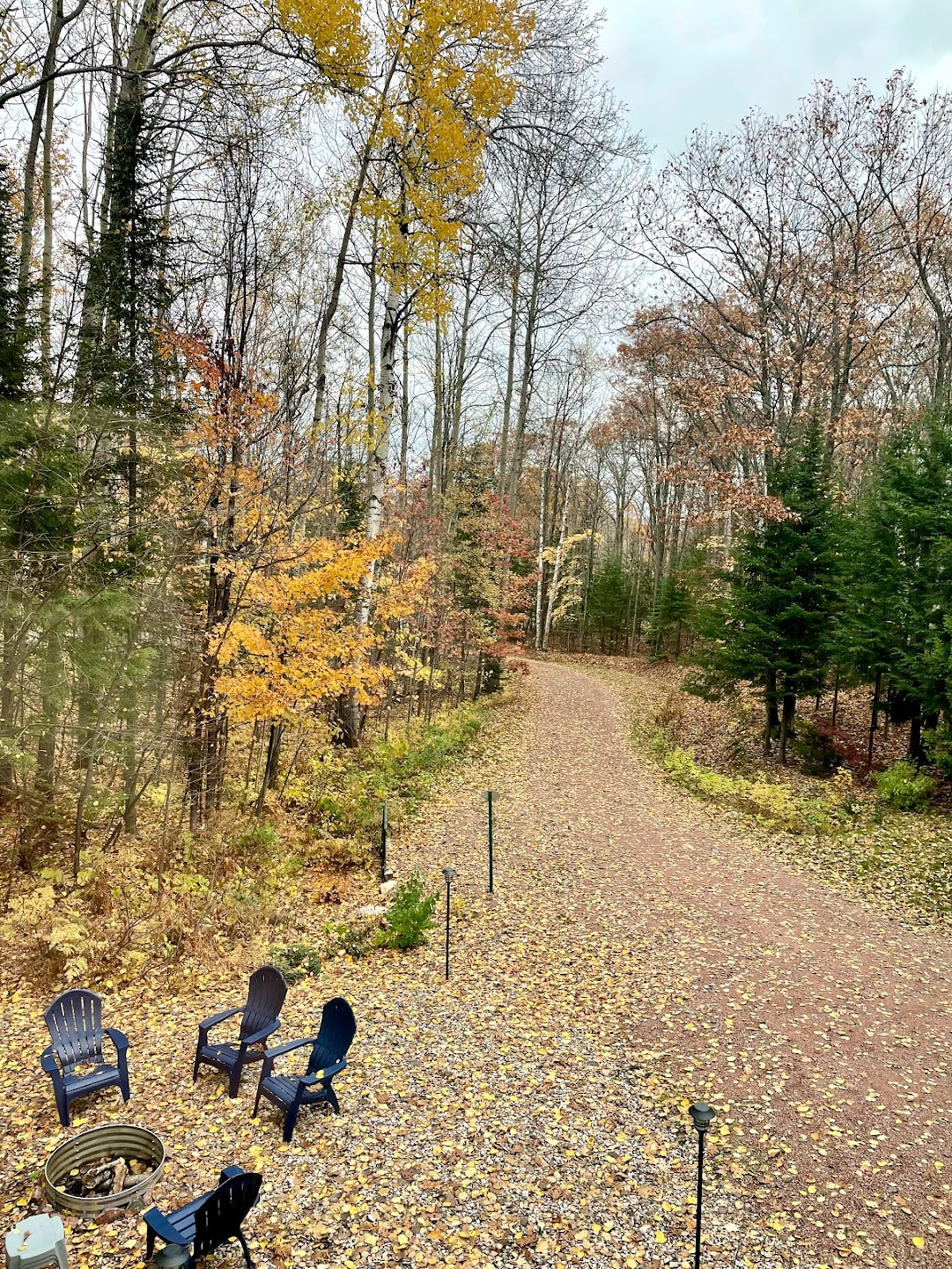 Fall overlooking the driveway from Rock Garden Bathroom
