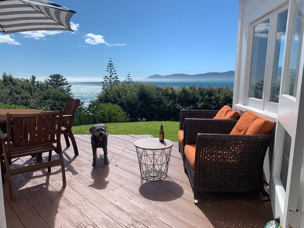 Bring your fury Friend :)  