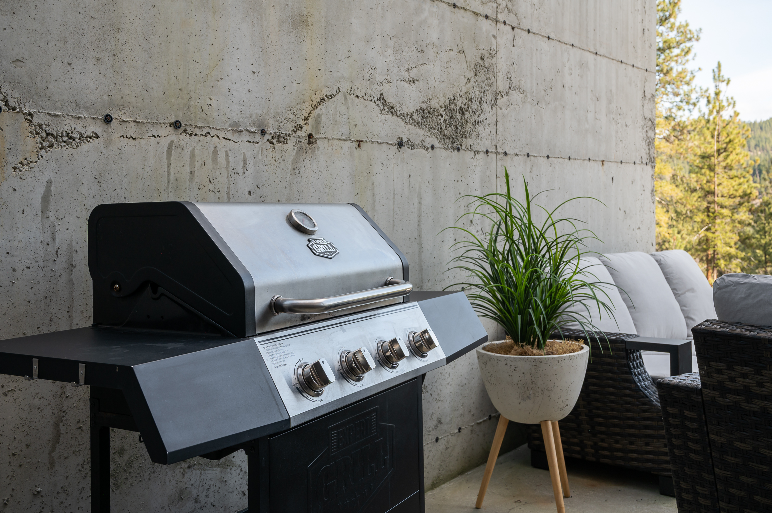 Gas BBQ with propane provided